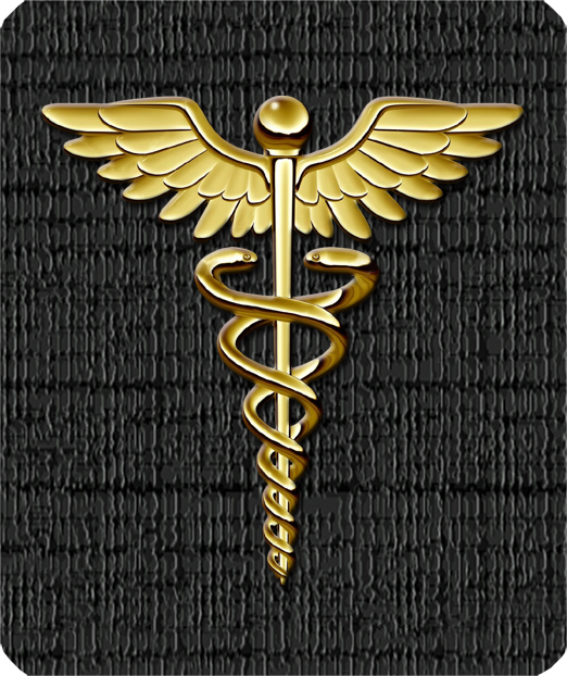 F35 Medical Logo Gold Black PROOF